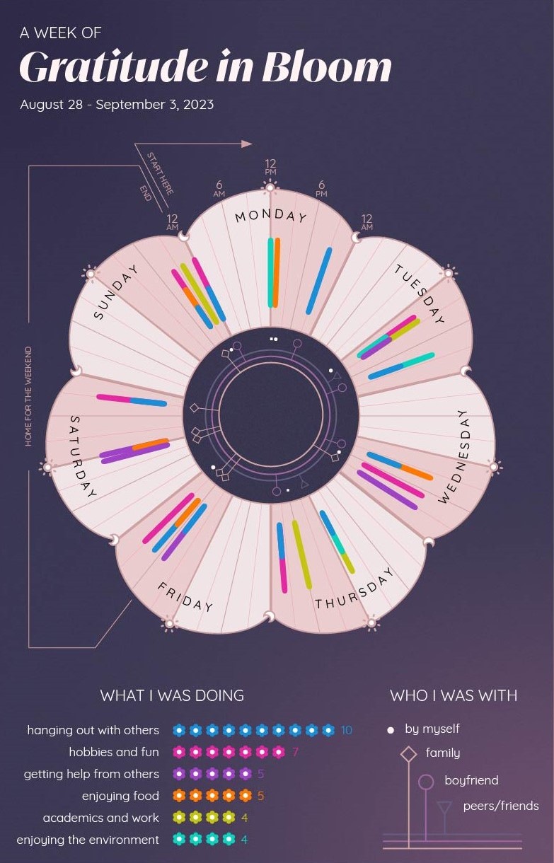 A data visualization in the form of a flower